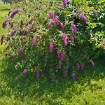 Blossom Cottage - 