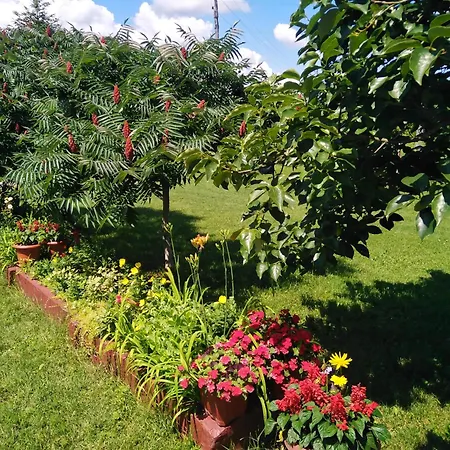 Blossom Cottage - 