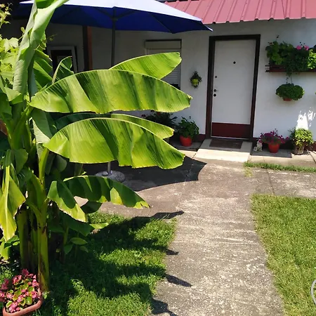 Blossom Cottage - 