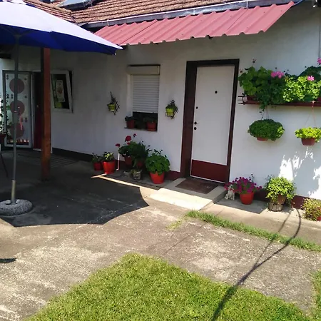 別荘 Blossom Cottage - 